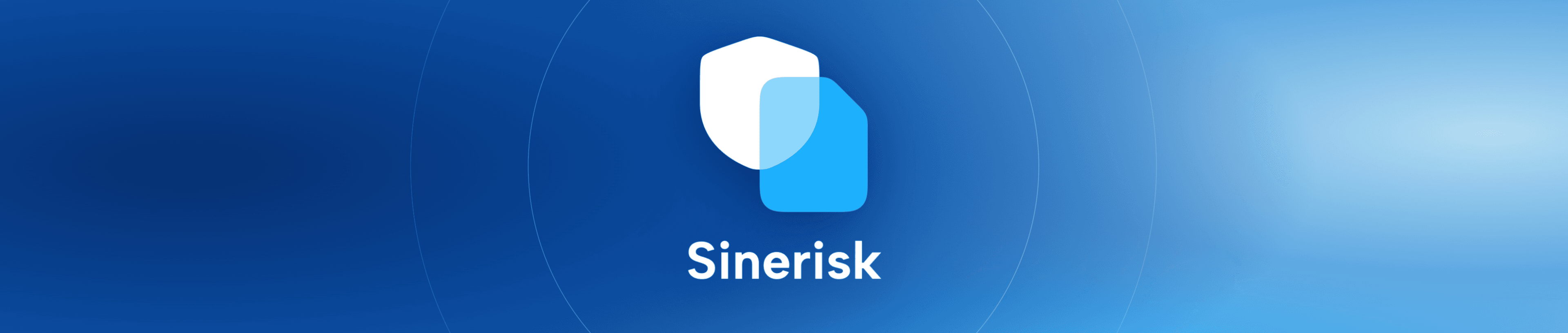 Logo Banner Sinerisk